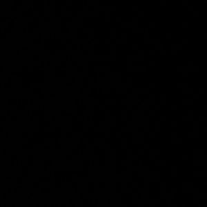 Meet your Posher, Dani